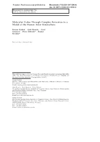 Molecular Codes Through Complex Formation in a Model of the Human Inner Kinetochore