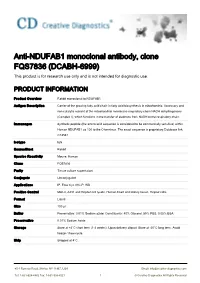 Anti-NDUFAB1 Monoclonal Antibody, Clone FQS7836 (DCABH-6999) This Product Is for Research Use Only and Is Not Intended for Diagnostic Use