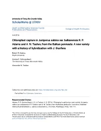 Chloroplast Capture in Juniperus Sabina Var. Balkanensis RP Adams