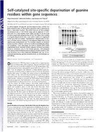 Self-Catalyzed Site-Specific Depurination of Guanine Residues Within Gene Sequences