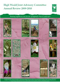 HW Annual Review 2004