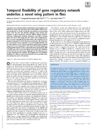 Temporal Flexibility of Gene Regulatory Network Underlies a Novel Wing Pattern in Flies