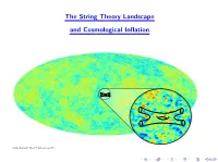 The String Theory Landscape and Cosmological Inflation