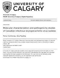 Molecular Characterization and Pathogenicity Studies of Canadian Infectious Laryngotracheitis Virus Isolates