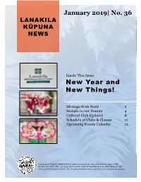 New Year and New Things!
