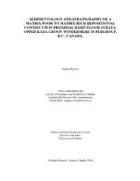 Sedimentology and Stratigraphy of a Matrix