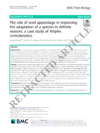 The Role of Seed Appendage in Improving the Adaptation of A