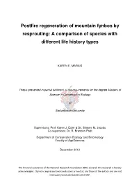Postfire Regeneration of Mountain Fynbos by Resprouting: a Comparison of Species with Different Life History Types
