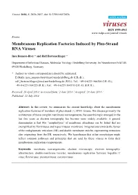 Membranous Replication Factories Induced by Plus-Strand RNA Viruses