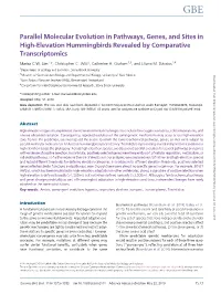 Parallel Molecular Evolution in Pathways, Genes, and Sites in High-Elevation Hummingbirds Revealed by Comparative Transcriptomics
