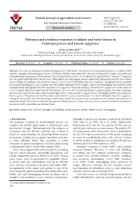 Tolerance and Avoidance Responses to Salinity and Water Stresses in Calotropis Procera and Suaeda Aegyptiaca