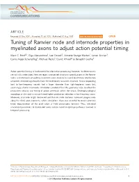 Tuning of Ranvier Node and Internode Properties in Myelinated Axons to Adjust Action Potential Timing