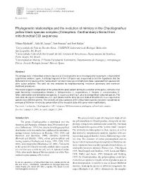 Phylogenetic Relationships and the Evolution of Mimicry in The