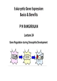 PNR Lecture 24