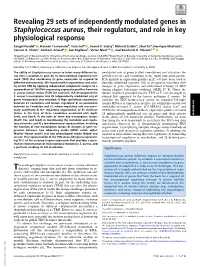 Revealing 29 Sets of Independently Modulated Genes in Staphylococcus Aureus, Their Regulators, and Role in Key Physiological Response