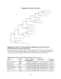 CAFE Estimations of Expansions and Contractions in the Apicomplexan
