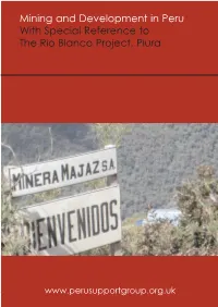 Mining Delegation Report Final1
