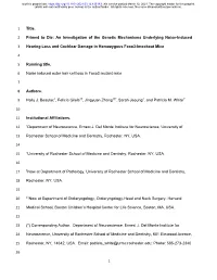 Primed to Die: an Investigation of the Genetic Mechanisms Underlying Noise-Induced