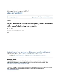 Thymic Involution in Viable Motheaten (Me(V)) Mice Is Associated with a Loss of Intrathymic Precursor Activity