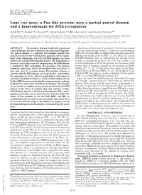 Lune/Eye Gone, a Pax-Like Protein, Uses a Partial Paired Domain and A