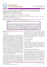 Deducing the Bio-Perspective Capabilities of Fe(II) Oxidizing