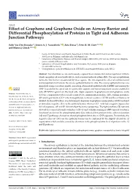 Effect of Graphene and Graphene Oxide on Airway Barrier and Differential Phosphorylation of Proteins in Tight and Adherens Junction Pathways
