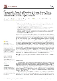 Thermophilic Anaerobic Digestion of Second Cheese Whey: Microbial Community Response to H2 Addition in a Partially Immobilized Anaerobic Hybrid Reactor