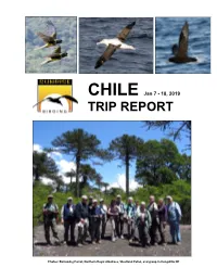 Trip Report & Species List (Pdf, 7