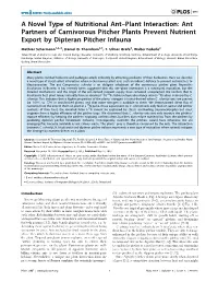 Ant Partners of Carnivorous Pitcher Plants Prevent Nutrient Export by Dipteran Pitcher Infauna