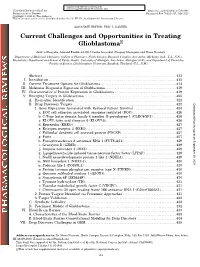 Current Challenges and Opportunities in Treating Glioblastomas