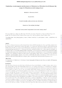 Ecophysiology, Secondary Pigments and Ultrastructure of Chlainomonas Sp