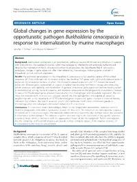 Global Changes in Gene Expression by the Opportunistic Pathogen