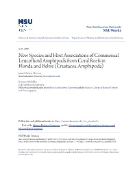 New Species and Host Associations of Commensal
