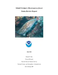 Islnad Grouper Status Review 2015