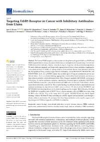 Targeting Erbb3 Receptor in Cancer with Inhibitory Antibodies from Llama