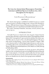 The Army Ant Aenictus Hottai (Hymenoptera: Formicidae: Aenictinae) and Related Species in Southeast Asia, with a Description Of