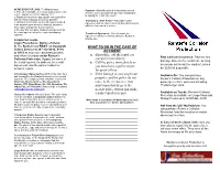 Collision-Benefit-Brochure.Pdf