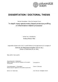 Dissertation / Doctoral Thesis
