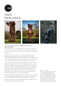 KAWS Media Release