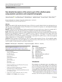 New Detailed Description of the Anterior Part of the Cribriform Plate Using Anatomic Specimens and Computed Tomography