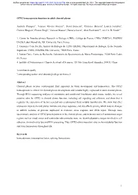 OTX2 Homeoprotein Functions in Adult Choroid Plexus