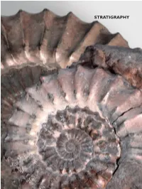 The Lower Jurassic of Europe: Its Subdivision and Correlation