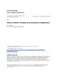 The Matrix As an Introduction to Mathematics