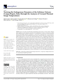 Tracking the Endogenous Dynamics of the Solfatara Volcano (Campi Flegrei, Italy) Through the Analysis of Ground Thermal Image Temperatures
