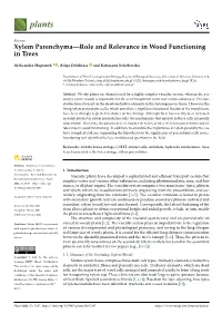 Xylem Parenchyma—Role and Relevance in Wood Functioning in Trees