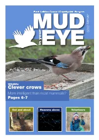 Clever Crows More Intelligent Than Most Mammals? Pages 6-7