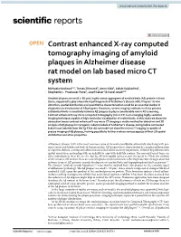 Contrast Enhanced X-Ray Computed Tomography Imaging of Amyloid