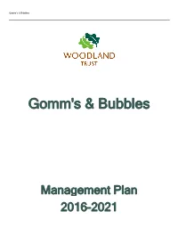 Gomm's & Bubbles