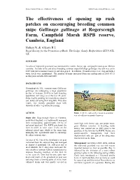 View) from Be Sourced up Until the End of November to Try Collapsed Drains and Was Mostly Covered in and Limit Regrowth of Vegetation