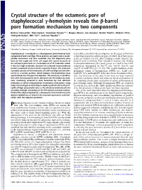 Crystal Structure of the Octameric Pore of Staphylococcal Γ-Hemolysin Reveals the Β-Barrel Pore Formation Mechanism by Two Components